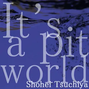 It's a pit world ジャケット