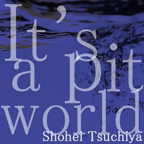 It's a pit world ジャケット