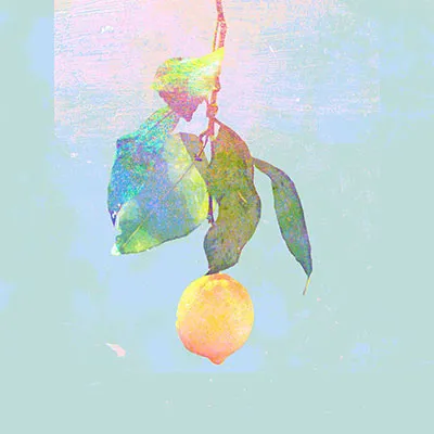 Lemon jacket