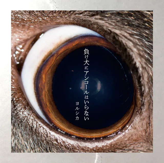 ただ君に晴れ jacket