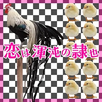 恋は渾沌の隷也 jacket