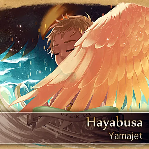 Hayabusa jacket